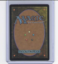 Magic MTG Avatar The Last Airbender Appa Steadfast Guardian Borderless Foil 0316 - Image 2