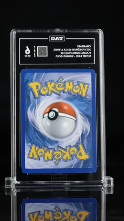 TAG 6 Charizard 136/135 - Plasma Storm Graded Pokemon Card - Image 3