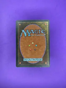 1994 MTG Legends Living Plane - Image 2
