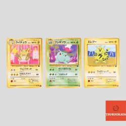 Japanese pokemon Raichu Ivysaur Electabuzz Intro Pack Bulbasaur Deck(B- rank) - Image 1