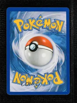 Salamence Holo Pokemon Dragon Vault Mini-Set #8 - Image 2