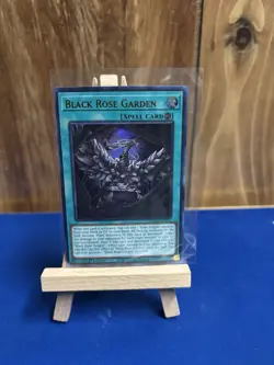 Yu-Gi-Oh! Black Rose Garden/ DOOD-EN055 1st Edition NM - Image 1