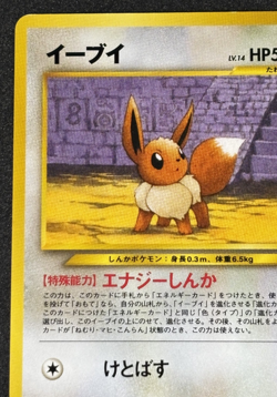 Eevee Neo Premium File 2 Promo No.133 Old Back 2000 Japanese Pokemon Card - Image 2