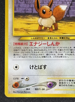 Eevee Neo Premium File 2 Promo No.133 Old Back 2000 Japanese Pokemon Card - Image 4