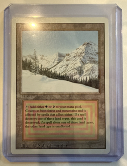 Taiga Magic The Gathering Revised Edition - NM Condition - Image 1