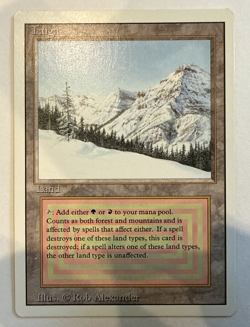 Taiga Magic The Gathering Revised Edition - NM Condition - Image 2