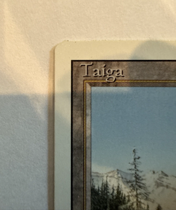 Taiga Magic The Gathering Revised Edition - NM Condition - Image 4