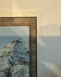 Taiga Magic The Gathering Revised Edition - NM Condition - Image 5