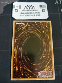 Tenacity of the Monarchs - NM/LP SR01-EN029 - Common - 1st Edition - YUGIOH A+ - Image 2