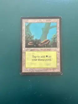 MtG Forest (A) Limited Beta LP ACTUAL PHOTOS! - Image 1