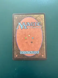 MtG Forest (A) Limited Beta LP ACTUAL PHOTOS! - Image 2