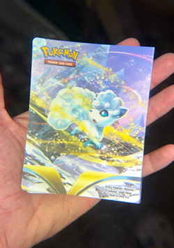 Pokemon Scarlet & Violet Silver Tempest 60 Card Mini Portfolio (NO CARDS/PACKS) - Image 2