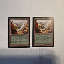 2 Magic The Gathering Undiscovered Paradise Lands (Visions) LP MTG - Image 1