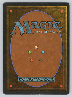 Pradesh *Banned* - 4th Edition Core Set 1995 MTG - Image 2