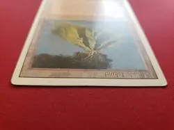 Volcanic Island Revised #291 MtG - Image 5