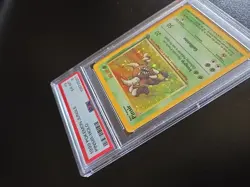 Pinsir Holo 9/64 PSA 6 WOTC Pokemon TCG 1999 Jungle Set Vintage Card - Image 4
