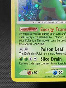 Sceptile 10/100 Swirl Holo Rare Stormfront 2008 Pokemon TCG LP/NM - Image 5