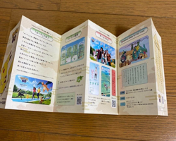 Nintendo Pokemon GO Tokyo Asakusa Route Pikachu Plastic bag Sticker booklet - Image 4