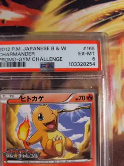 Pokemon Card Charmander Glumanda Bw Promo Gym Challenge 2012 Japanese PSA 6 - Image 4