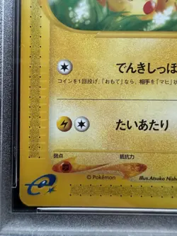 Pokemon Pikachu 016/128 Expedition 1st Ed 2001 Japanese PSA 10 - Image 5