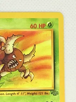 Pinsir 25/64 Jungle Regular Non Holo Unlimited Pokemon WOTC NM - Image 3