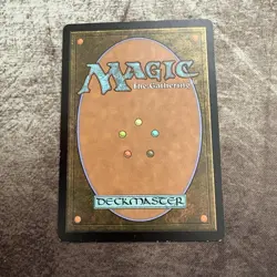 Drowned Catacomb - Magic 2012 - MTG Magic the Gathering - MP - Image 2