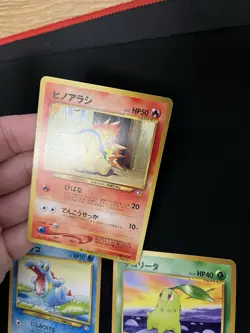 World Hobby Fair Promos Totodile Cyndaquil Chikorita Japanese Pokemon WOTC Neo - Image 3