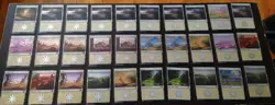42x Foil Basic Land Plains Magic The Gathering Card Lot /Used/MTG/ Assorted Sets - Image 1