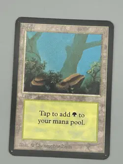 Forest (A) Alpha LP Light Play MTG Beautiful ORIG OWNER - Image 1