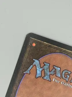 Forest (A) Alpha LP Light Play MTG Beautiful ORIG OWNER - Image 3