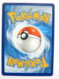 Sizzlipede 009/073 (NM, Pokemon Card, Champion's Path, 2020, Fire, Common) - Image 2