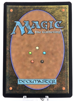 MTG Paradise Chocobo - Birds of Paradise (borderless) promo Foil #483 - Image 2