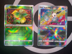 Pokemon Exclusive S-Chinese Sword&Shield K Radiant Eevee + Venusaur Holo 2 Cards - Image 1