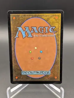 (LP) Kinsbaile Cavalier Morningtide Regular - Image 3