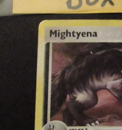 *Swirl* Mightyena - 18/108 - EX Power Keepers - Holo Rare Pokemon - NM - Image 2
