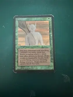 MtG Camouflage: Beta LP ACTUAL PHOTOS! - Image 1