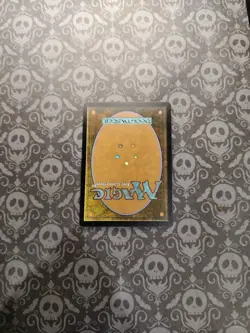 Ophidian Eye Time Spiral Regular - Image 4