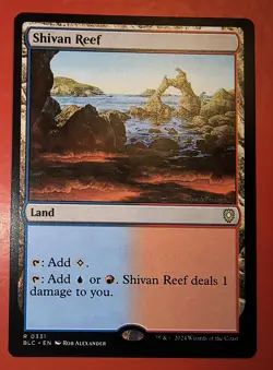 MTG, MAGIC: SHIVAN REEF, 0331, BLC, REGULAR, RARE, NM, COMMANDER - Image 1