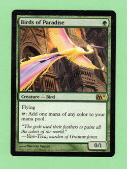 MTG - BIRDS OF PARADISE 165/249 2011 - Image 1