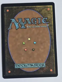 Meticulous Archive - Murders at Karlov Manor - MTG - 0264 - Image 2