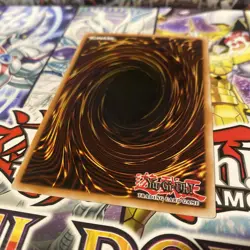 Aurora Paragon (EXVC-EN036) | 1st Edition | NM | Yu-Gi-Oh! - Image 2