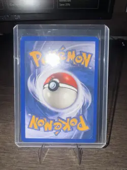 Pokemon Swinub 107/144 2003 Skyridge Common Card NM Condition - Image 2