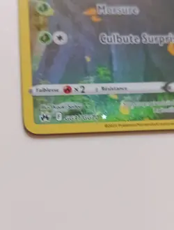 Carte Pokemon Tortipouss GG31/GG70 EB12.5 Epee & Bouclier Zenith Supreme FR NEUF - Image 3