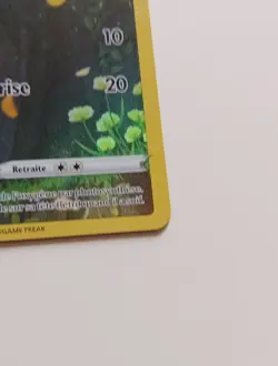 Carte Pokemon Tortipouss GG31/GG70 EB12.5 Epee & Bouclier Zenith Supreme FR NEUF - Image 4