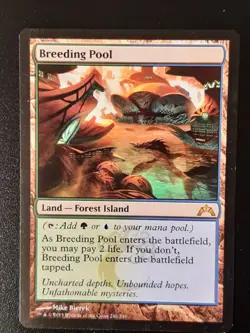 MTG Breeding Pool #240 Gatecrash 2013 NM Never played - Image 3