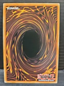 Yu-Gi-Oh! TCG: Blackwing - Zonda the Dusk DABL-EN005 - 1st Edition - Common - LP - Image 2