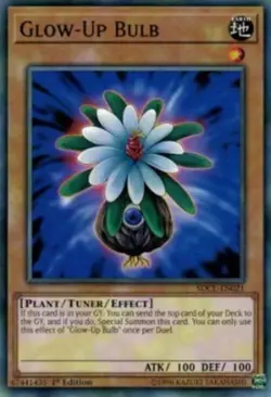 Yugioh-Glow-Up Bulb-Common-1st Edition-SDCL EN021 (LP) - Image 1