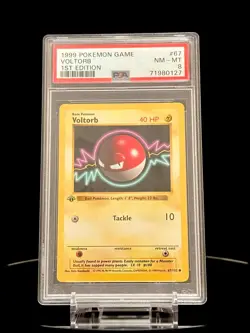 Voltorb 1st Edition 67/102 Base Set 1999 Pokemon Card PSA 8 NM-MT - Image 1
