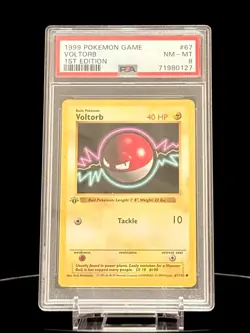 Voltorb 1st Edition 67/102 Base Set 1999 Pokemon Card PSA 8 NM-MT - Image 4