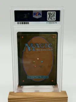 1995 Magic The Gathering MTG Willow Priestess Homelands PSA 8 Pop 3 & 3 Higher - Image 4